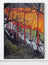 Christo exhibition poster - Central Park