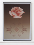 David F. Haiden  – Original Limited Edition Screen print