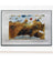Salvador Dalí - Fine Art Print