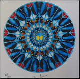 Damien Hirst - Fine Art Print