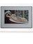 Henri Matisse - Fine Art Print