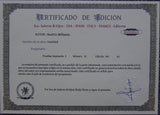 Beatriz Milhazes - Hand Pressed Print
