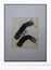 Tilopâ Monk - Original Limited Edition Aquatint