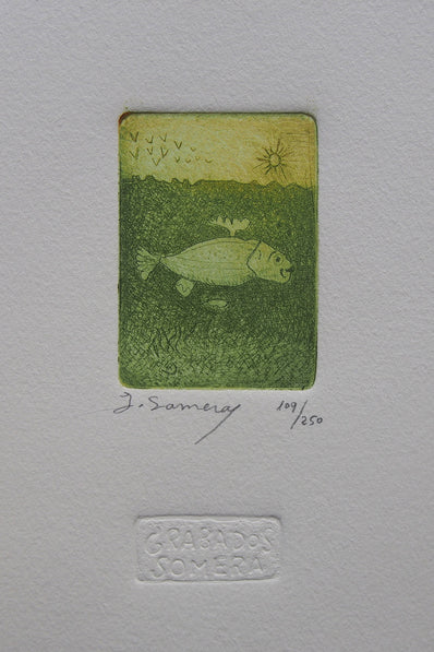 Grabados Somera - Original Limited Edition Etching & Aquatint