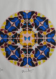 Damien Hirst - Fine Art Print