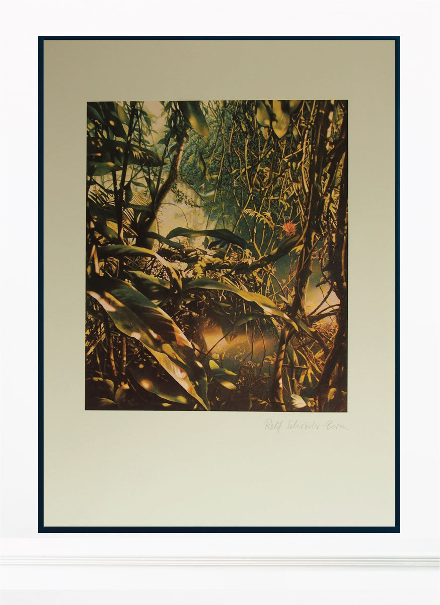 Rolf Schröder-Borm – Hand Signed Print
