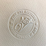 Chile Vintage Travel Poster - Fine Art Giclée Print