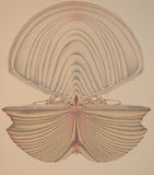 Alain De Foil - Vintage Lithograph