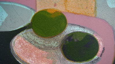 André Minaux Vintage Print - Original Lithograph 1968