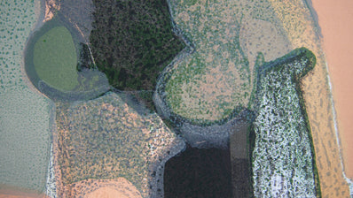 André Minaux Vintage Print - Original Lithograph 1968