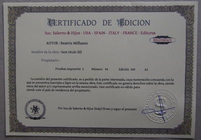 Beatriz Milhazes - Hand Pressed Print