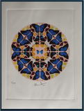 Damien Hirst - Fine Art Print