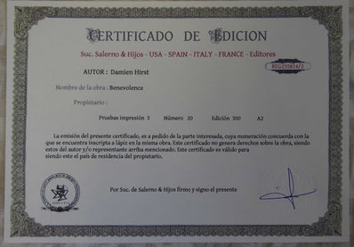 Damien Hirst - Fine Art Print