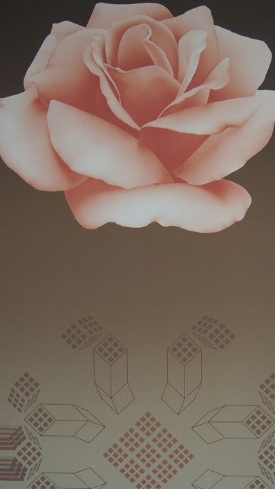 David F. Haiden  ‬– Original Limited Edition Screen print