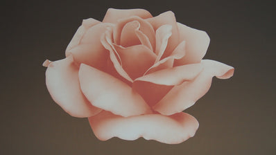 David F. Haiden  ‬– Original Limited Edition Screen print