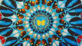 Damien Hirst - Fine Art Print