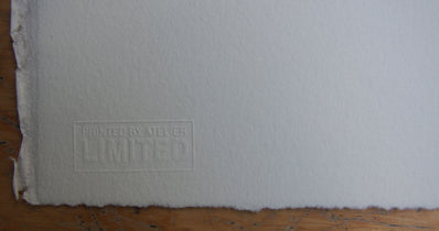 Douglas Cooper Print - Original Lithograph 1996