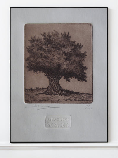 Grabados Somera - Original Limited Edition Engraving -