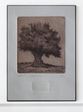 Grabados Somera - Original Limited Edition Engraving -