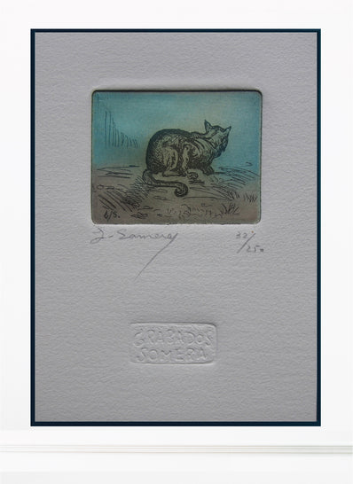 Grabados Somera - Original Limited Edition Etching & Aquatint