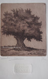 Grabados Somera - Original Limited Edition Engraving -