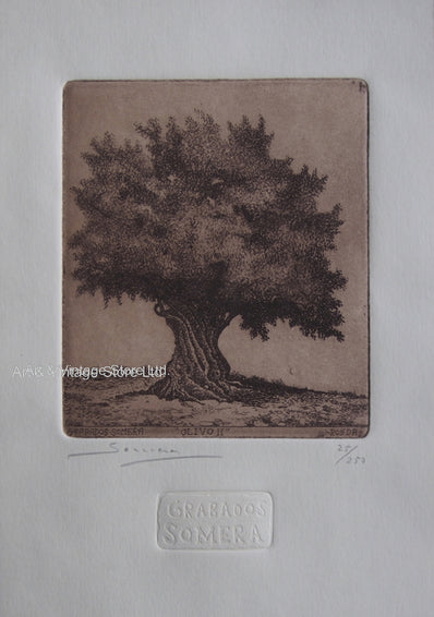 Grabados Somera - Original Limited Edition Engraving -
