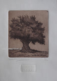 Grabados Somera - Original Limited Edition Engraving -