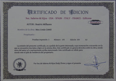 Beatriz Milhazes - Hand Pressed Print