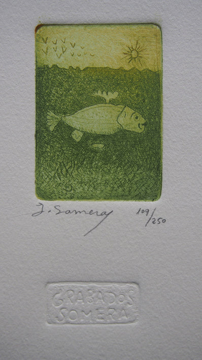 Grabados Somera - Original Limited Edition Etching & Aquatint