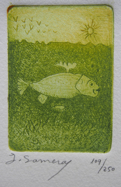 Grabados Somera - Original Limited Edition Etching & Aquatint