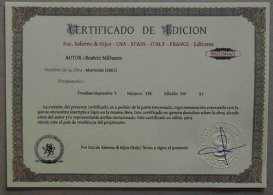 Beatriz Milhazes - Hand Pressed Print