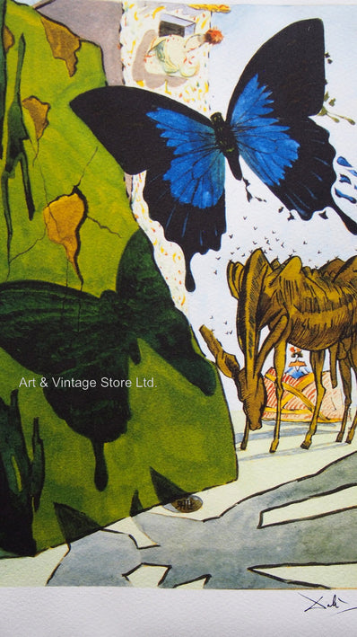 Salvador Dalí - Fine Art Print