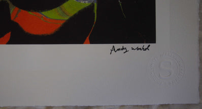 Andy Warhol - Fine Art Print