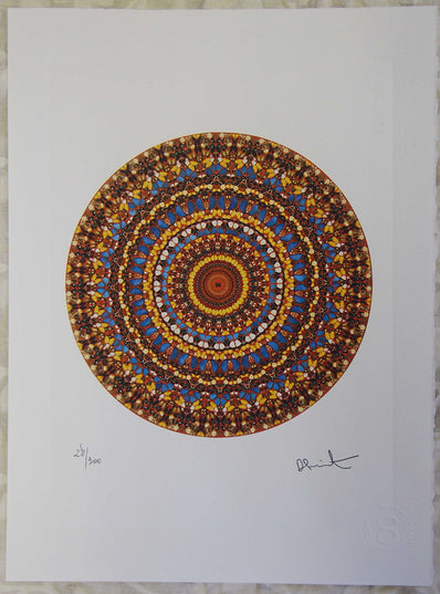 Damien Hirst - Fine Art Print