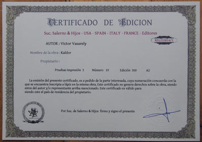 Victor Vasarley - Fine Art Print