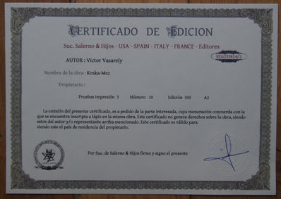 Victor Vasarley - Fine Art Print