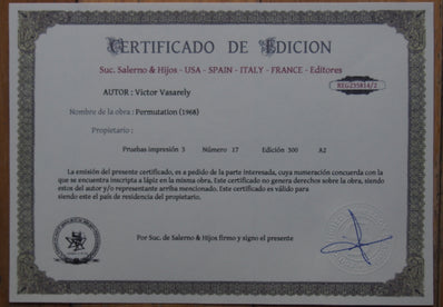 Victor Vasarley - Fine Art Print