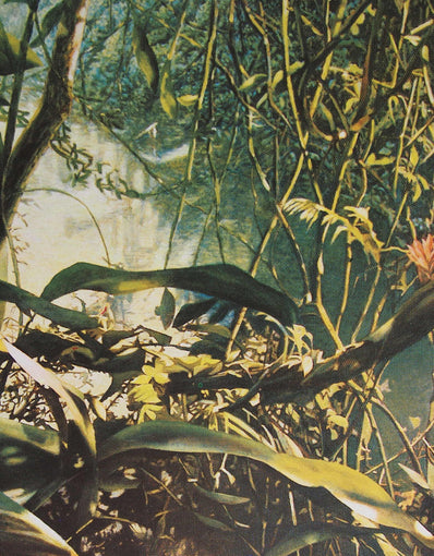 Rolf Schröder-Borm – Hand Signed Print