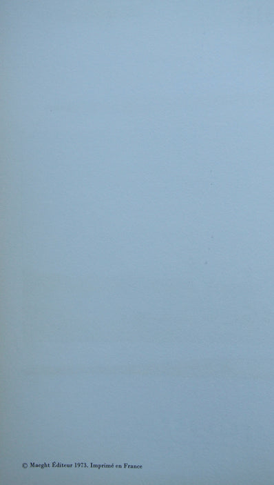 Saul Steinberg Vintage Print 1973 - Original Lithograph