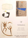 TERNARIO - Original Poster 1996