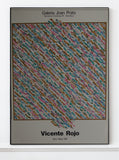 Vincente Rojo - Original Artist Poster 1987