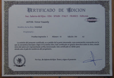 Victor Vasarley - Fine Art Print