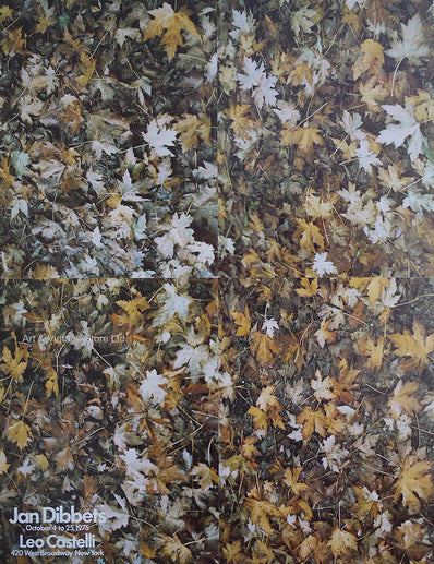 Jan Dibbets - Original Artist Poster 1975